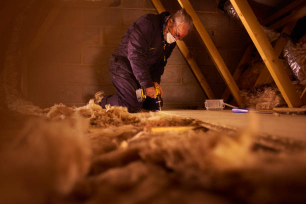 Best Commercial Insulation Services  in Blue Grass, IA